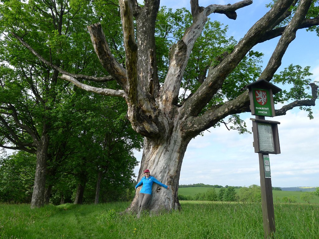 PavlaCzechVisit 211